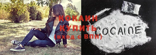 ГАЛЛЮЦИНОГЕННЫЕ ГРИБЫ Магас