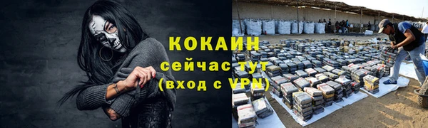ГАЛЛЮЦИНОГЕННЫЕ ГРИБЫ Магас